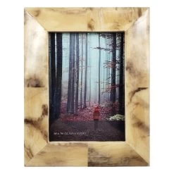 Faux Horn Photo Frame, 9.5x7.5