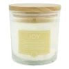 Found & Fable Joy Scented Jar Candle, 13oz 2 Found & Fable Joy Scented Jar Candle, 13oz -Finest Home Decoration found fable joy scented jar candle 13oz