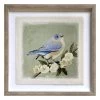 Framed Bird Wall Art, 18"