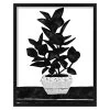 Glass Framed Black & White Plant Print Wall Art, 17x21 -Finest Home Decoration glass framed black white plant print wall art 17x21 1