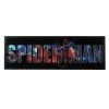 Glass Framed Spiderman Printed Wall Art, 10x30