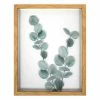 Honeybloom Glass Framed Botanical Leaves Wall Decor, 11x14