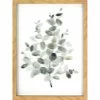 Honeybloom Glass Framed Green Eucalyptus Print Wall Art, 12x16 2 Honeybloom Glass Framed Green Eucalyptus Print Wall Art, 12x16 -Finest Home Decoration honeybloom glass framed green eucalyptus print wall art 12x16 1