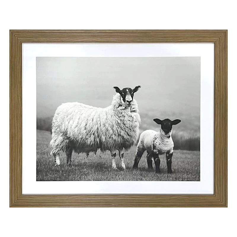 Honeybloom Glass Framed Sheep Print Wall Art, 22x18 3 Honeybloom Glass Framed Sheep Print Wall Art, 22x18