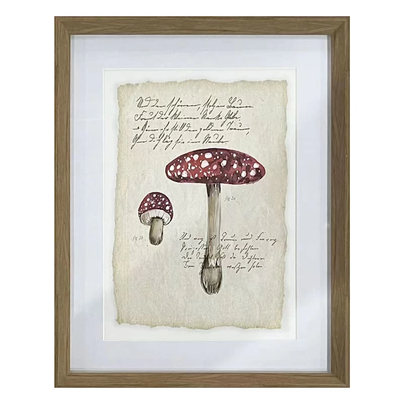 Honeybloom Mushroom Print Wall Art, 13x17 3 Honeybloom Mushroom Print Wall Art, 13x17