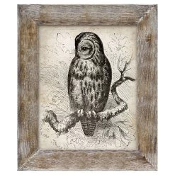 Listoni Brown Tabletop Photo Frame, 8x10