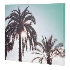 Palm Tree's Canvas Wall Art, 20x16 -Finest Home Decoration palm trees canvas wall art 20x16 2