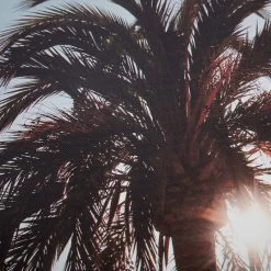 Palm Tree's Canvas Wall Art, 20x16 -Finest Home Decoration palm trees canvas wall art 20x16 3