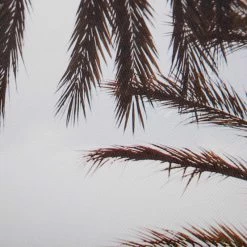 Palm Tree's Canvas Wall Art, 20x16 -Finest Home Decoration palm trees canvas wall art 20x16 5