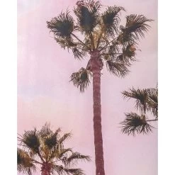Palm Trees With Pink Canvas Wall Art, 18x36 -Finest Home Decoration palm trees with pink canvas wall art 18x36 4