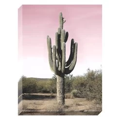 Pink Cacti Textured Canvas Wall Art, 18x24