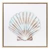 Ty Pennington Framed Shell Canvas Wall Art, 12"