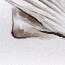 Ty Pennington Framed Shell Canvas Wall Art, 12" -Finest Home Decoration ty pennington framed shell canvas wall art 12 4