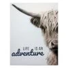 Ty Pennington Life Is An Adventure Canvas Wall Art, 12x16 -Finest Home Decoration ty pennington life is an adventure canvas wall art 12x16 1